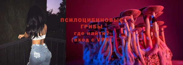героин Алексин
