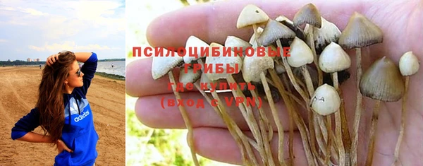 героин Алексин