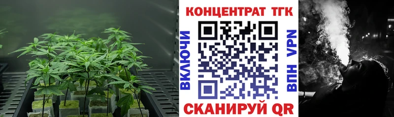 ТГК Wax Михайловск