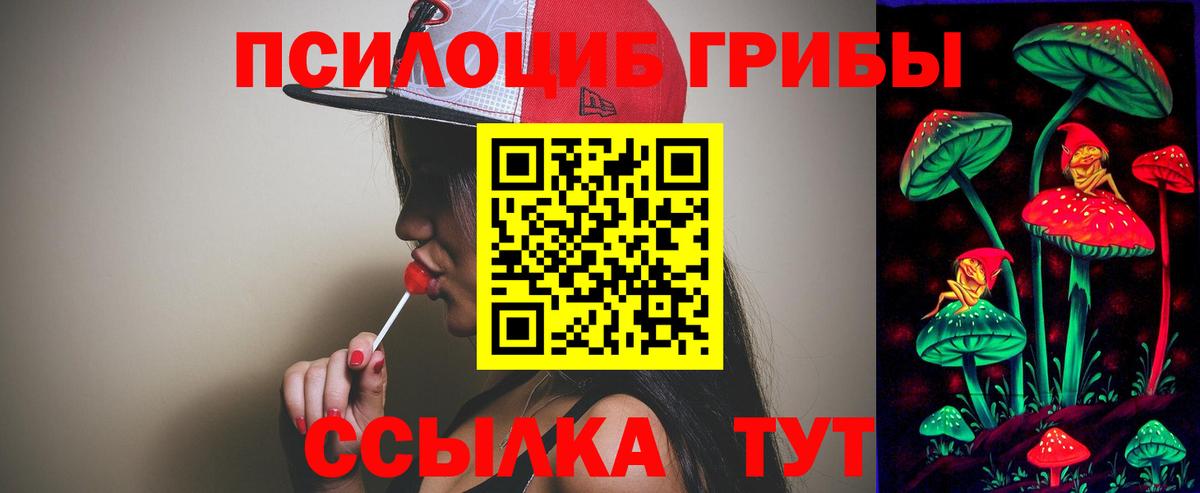 Галлюциногенные грибы мицелий Михайловск