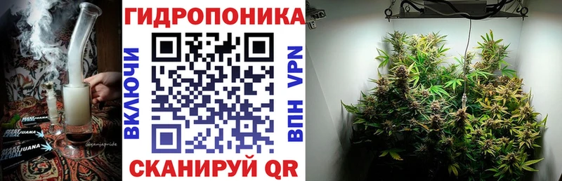 darknet как зайти  Михайловск  Шишки марихуана тримм  mega зеркало 